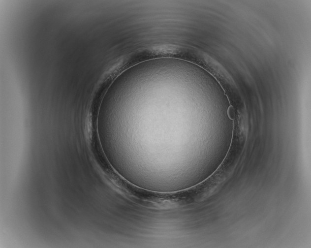 X0000113080494200908281226