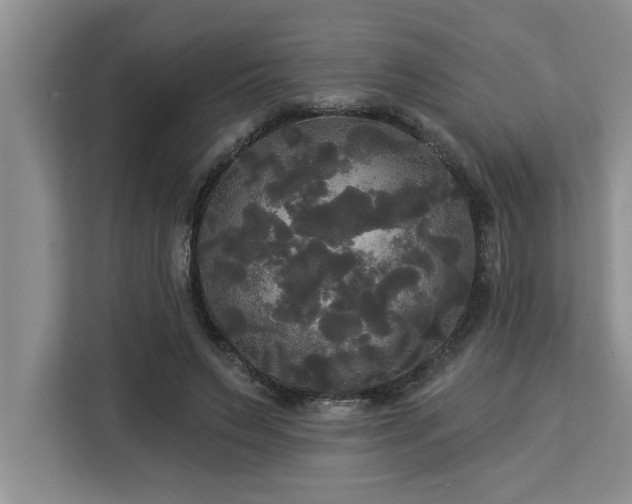 X0000113080495200908281226