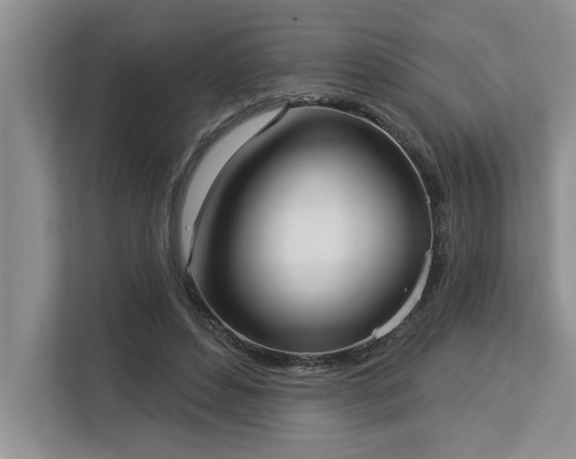 X0000113080496200908281226