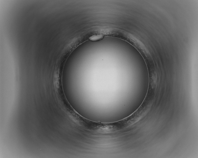 X0000113080497200908281226