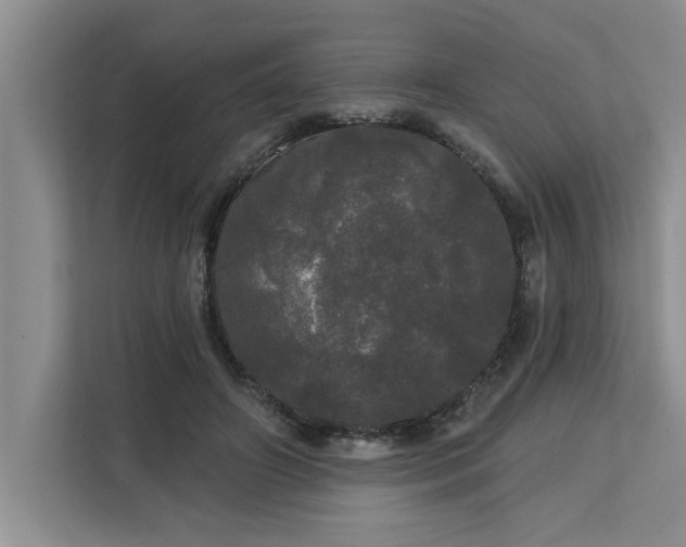 X0000113080498200908281226