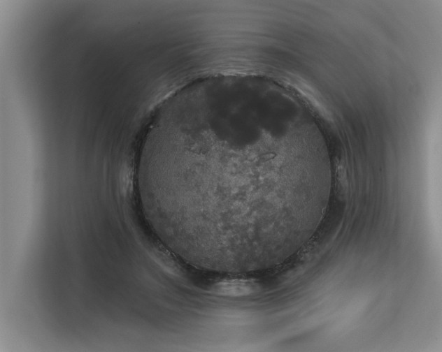 X0000113080499200908281226