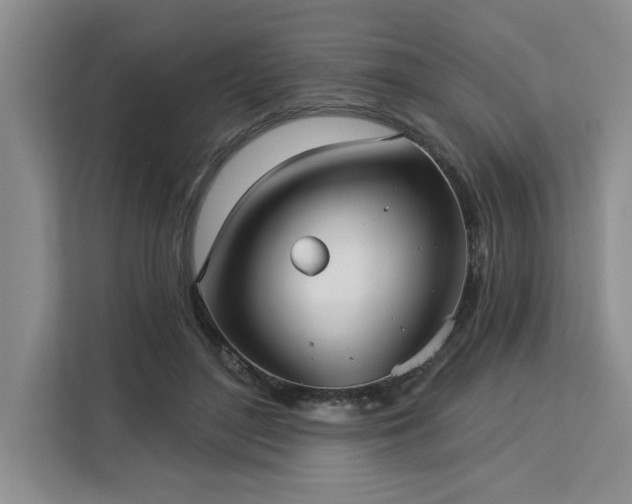 X0000113080500200908281226