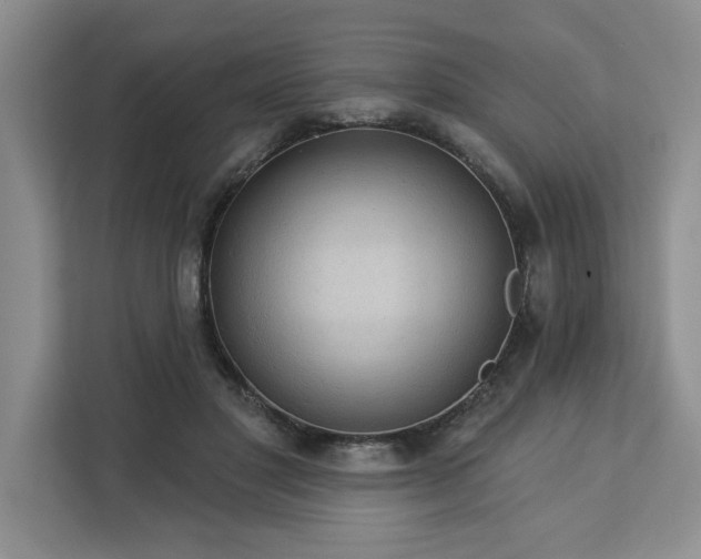 X0000113080501200908281226