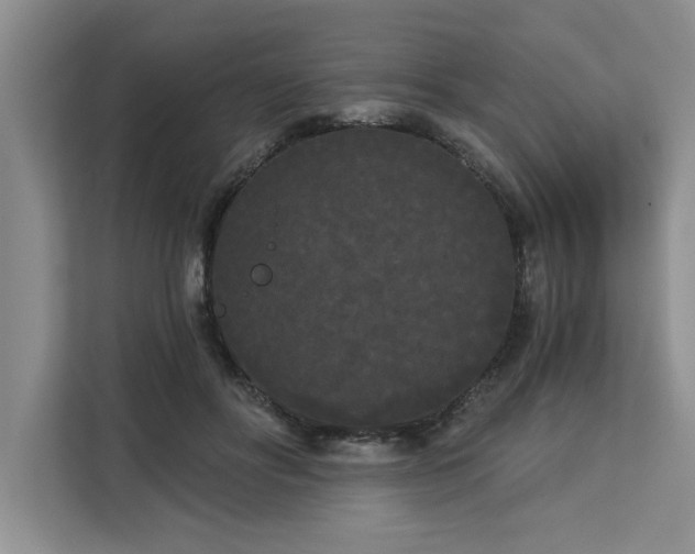 X0000113080502200908281226