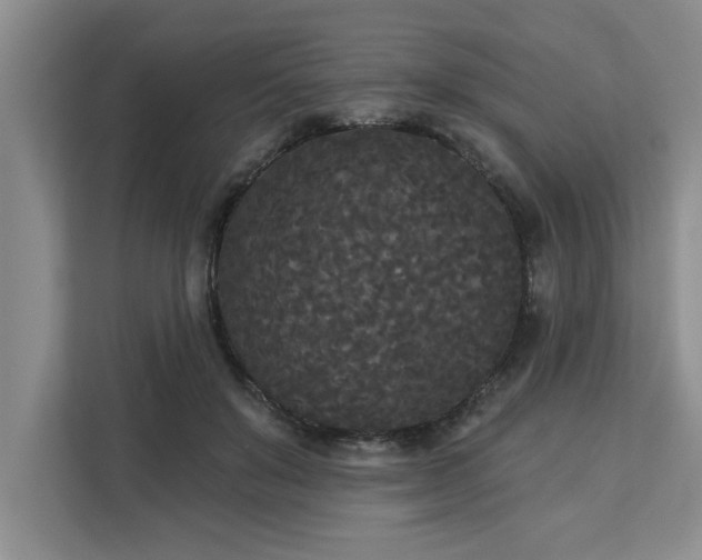 X0000113080503200908281226