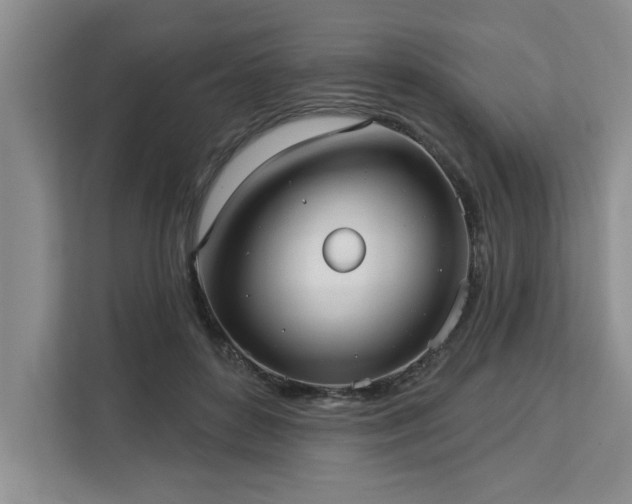 X0000113080504200908281226