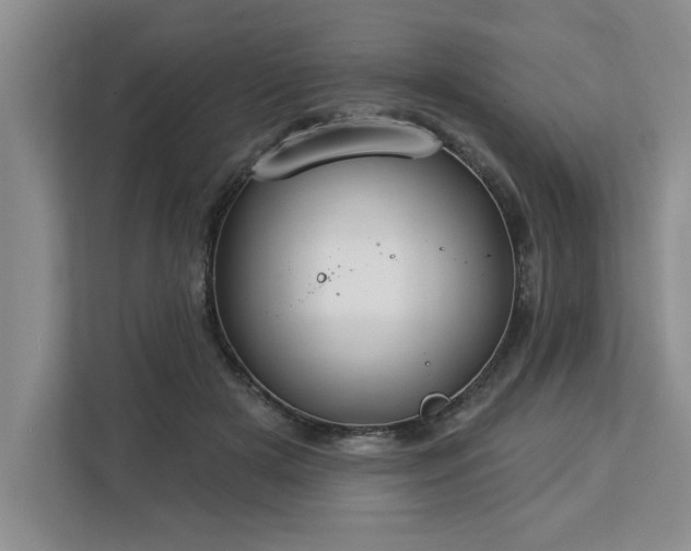 X0000113080505200908281226