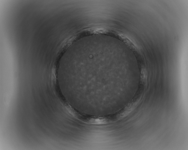 X0000113080506200908281226