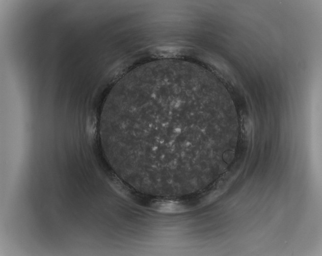 X0000113080507200908281226