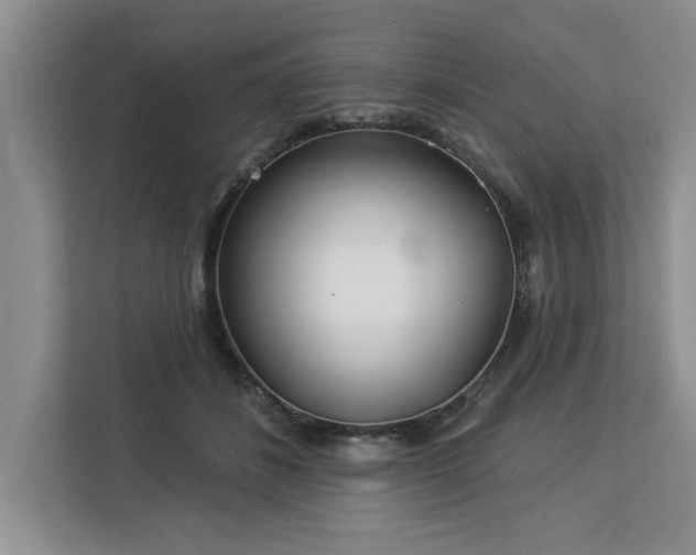 X0000113080508200908281226