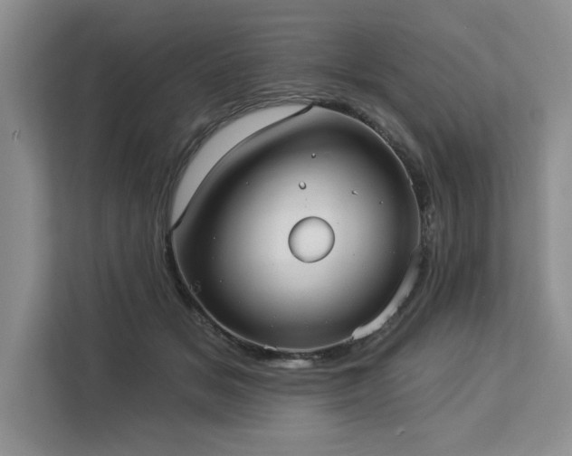 X0000113080509200908281226