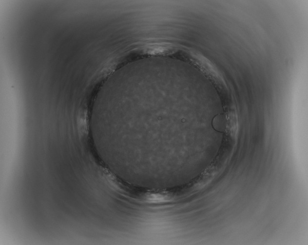 X0000113080510200908281226