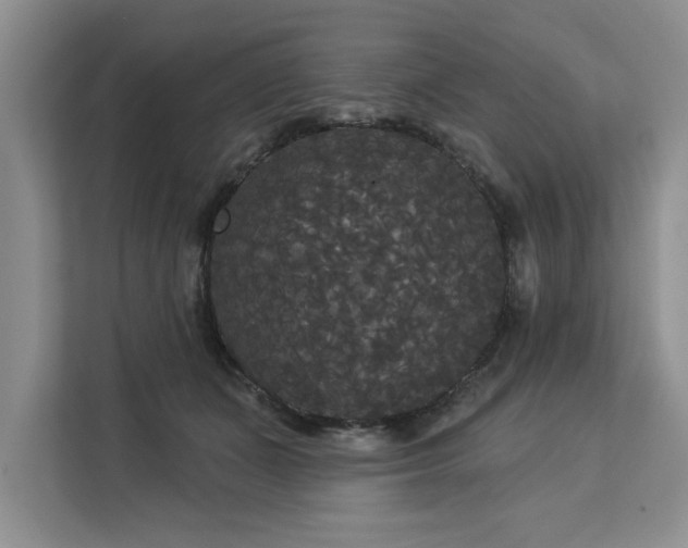 X0000113080511200908281226