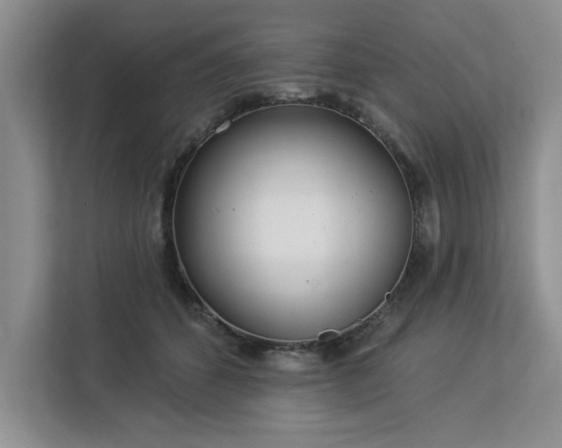 X0000113080512200908281226