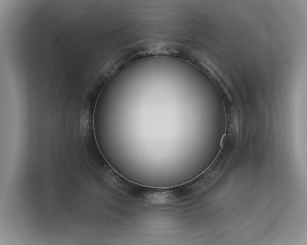 X0000113080513200908281226