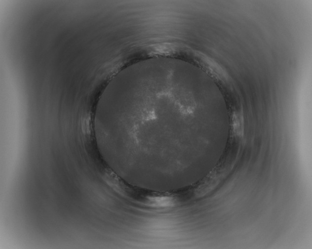 X0000113080514200908281226