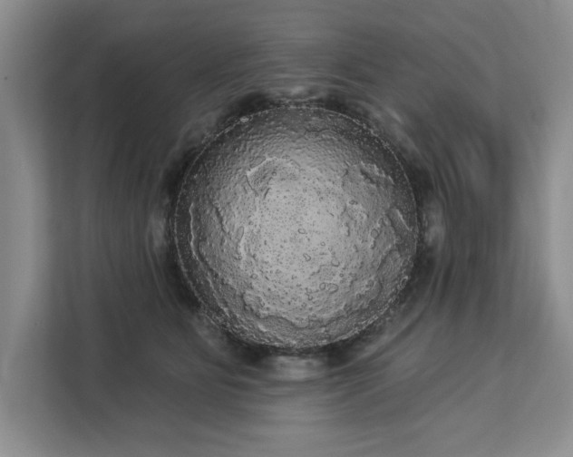 X0000113080515200908281226