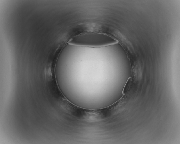 X0000113080516200908281226