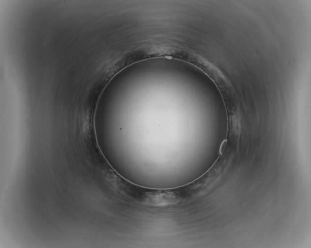 X0000113080517200908281226