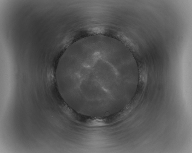 X0000113080518200908281226