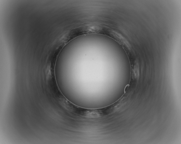 X0000113080520200908281226