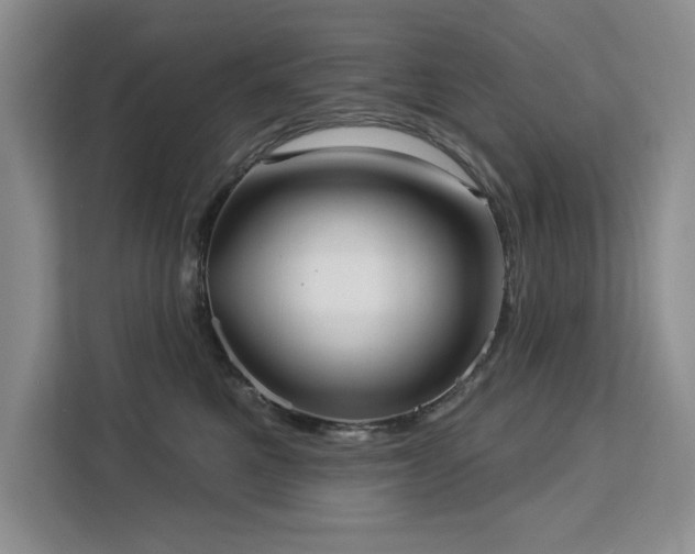 X0000113080521200908281226