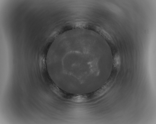 X0000113080522200908281226