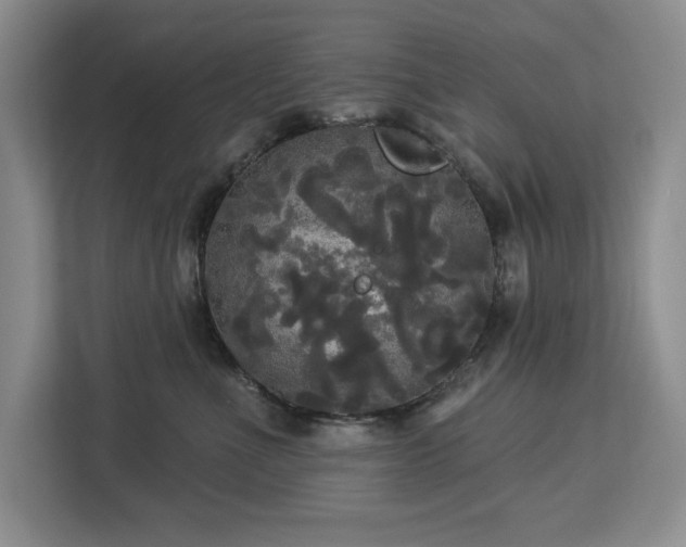 X0000113080523200908281226