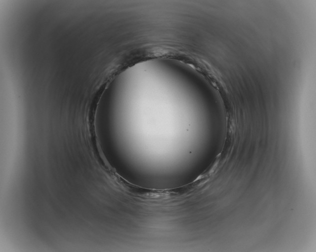 X0000113080524200908281225