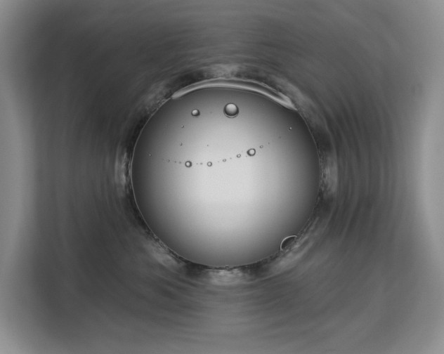 X0000113080525200908281225