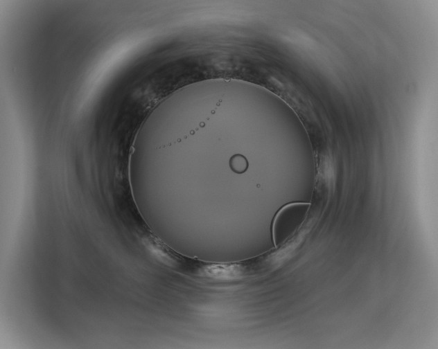 X0000113080526200908281225