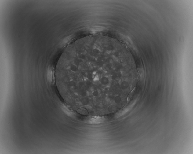 X0000113080527200908281225