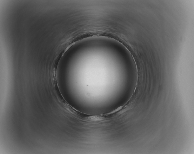 X0000113080528200908281225