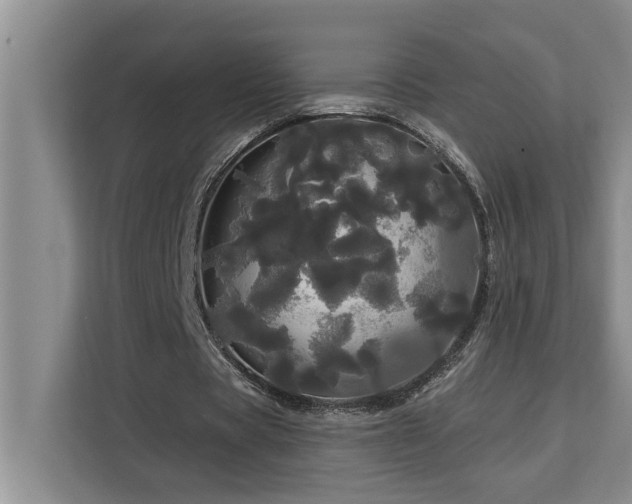 X0000113080529200908281225