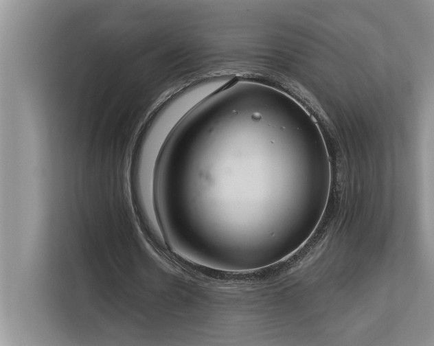 X0000113080530200908281225