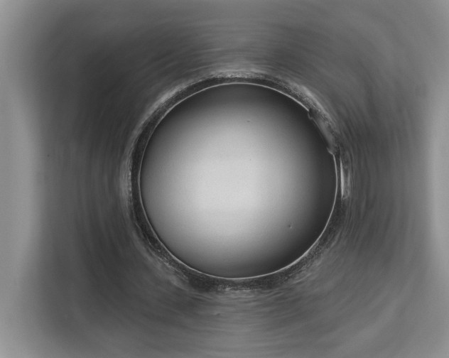 X0000113080531200908281225