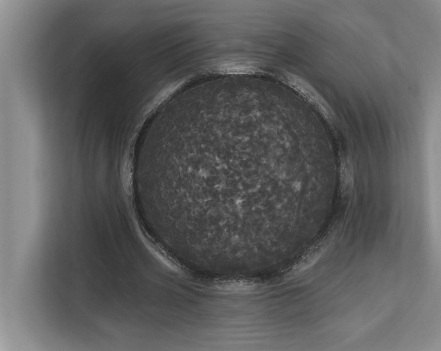 X0000113080533200908281225