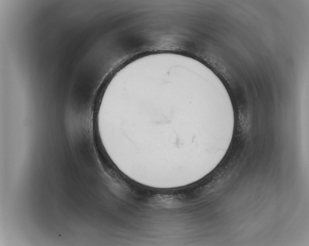 X0000113080534200908281225