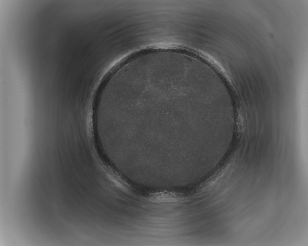 X0000113080535200908281225