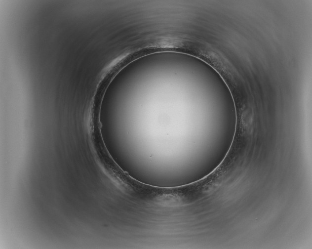 X0000113080536200908281225