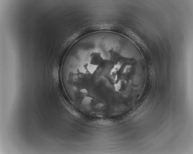 X0000113080537200908281225