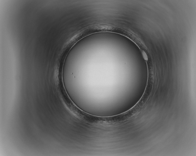 X0000113080538200908281225