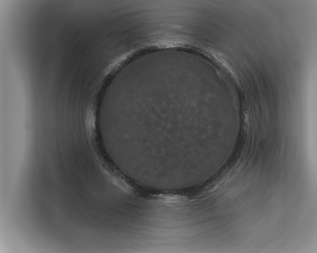 X0000113080539200908281225