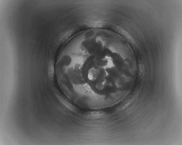 X0000113080541200908281225