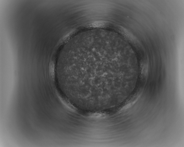 X0000113080542200908281225