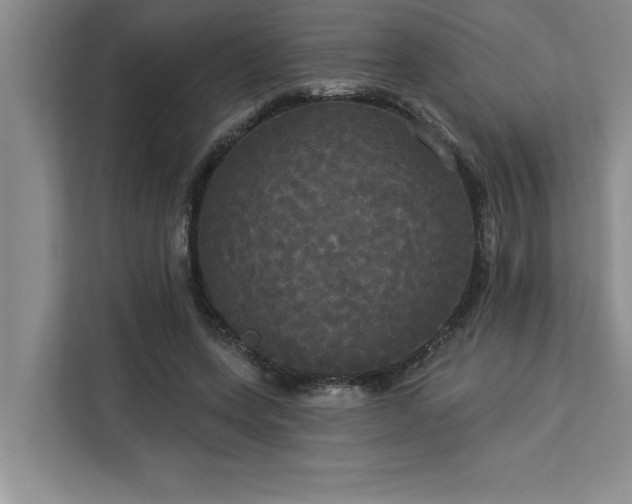 X0000113080543200908281225