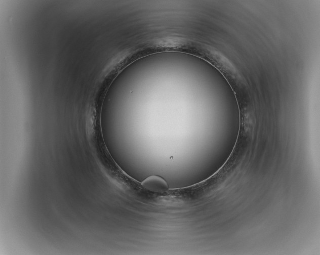 X0000113080544200908281225