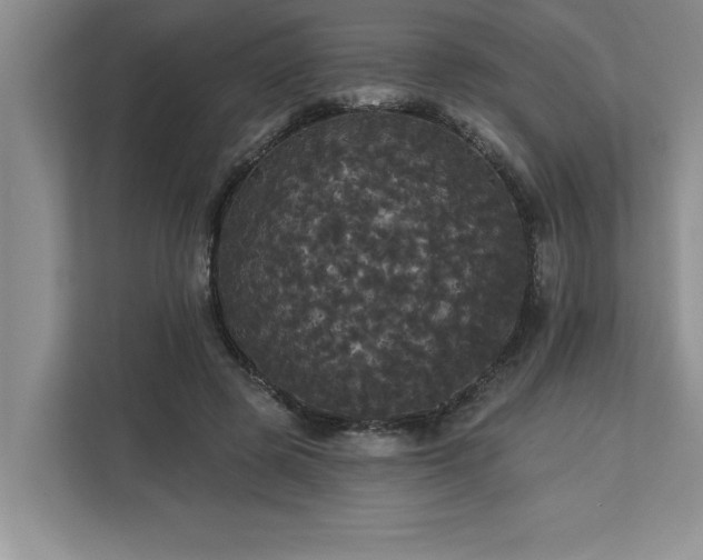 X0000113080545200908281225