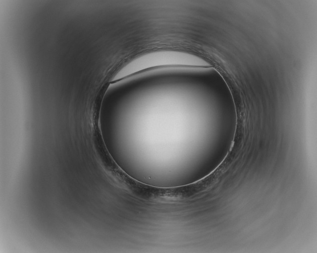 X0000113080546200908281225